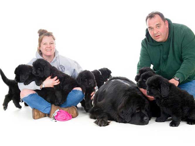 Jason and Mel West with Wilbears puppies